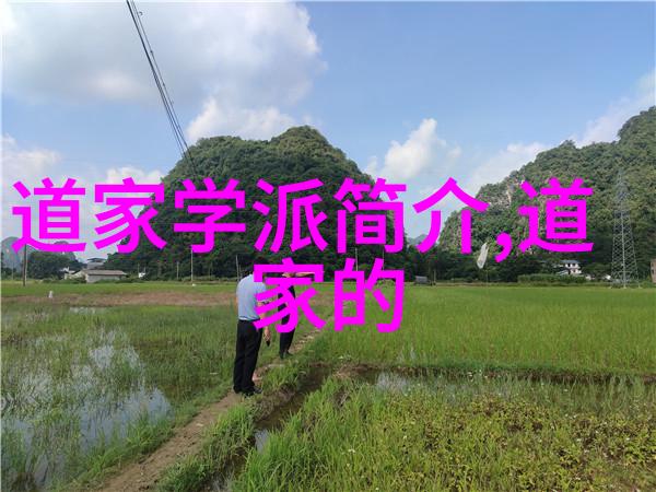 封建礼教-尊卑之序封建礼教的社会意义与影响