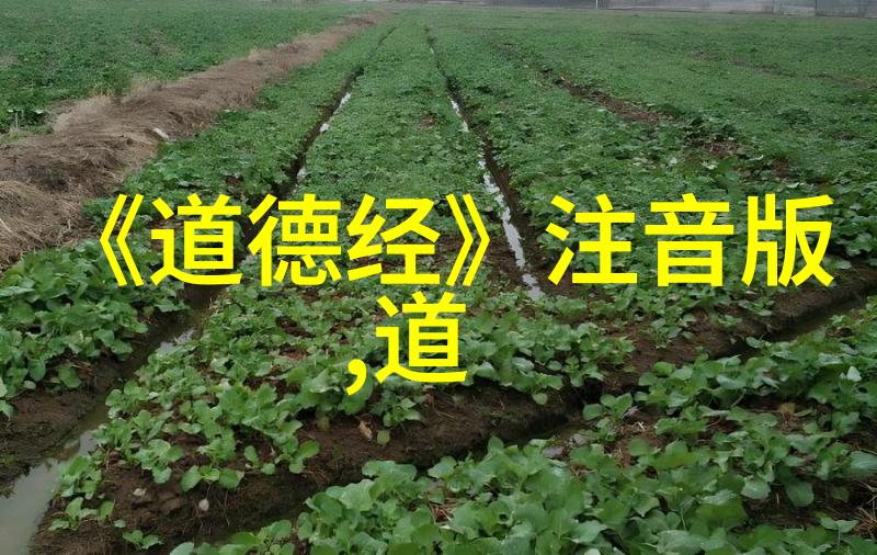 无为与无不为如何辩证我是这样想的活得有意无意不做事却能成事