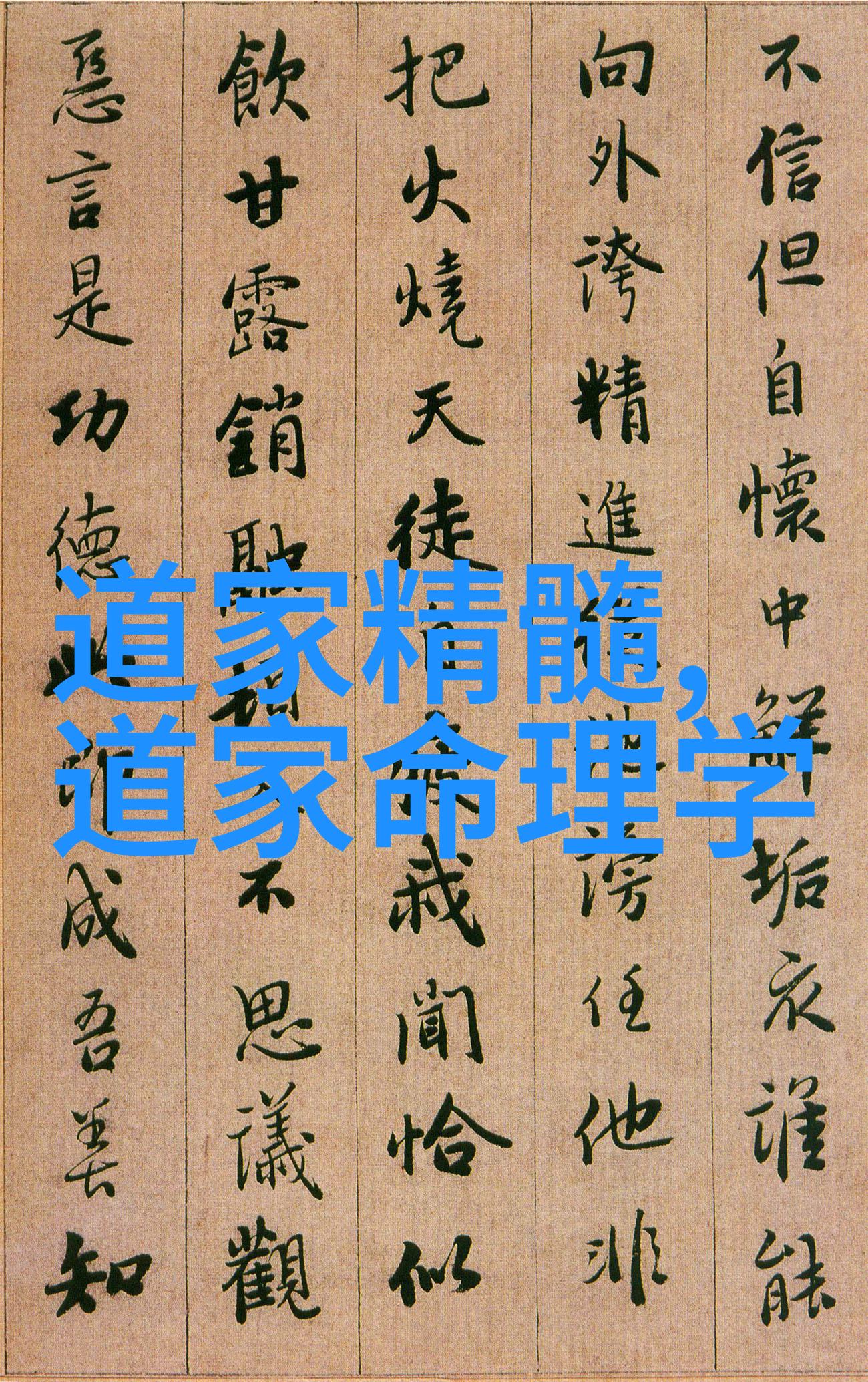 探索慈悲之境从道德哲学到精神修养的高层次实现
