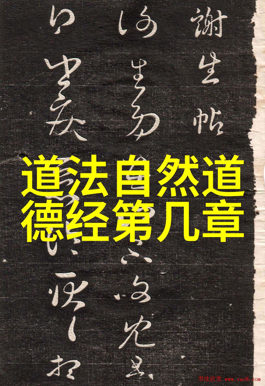 常无为而无不为背后的秘密与时间的重叠