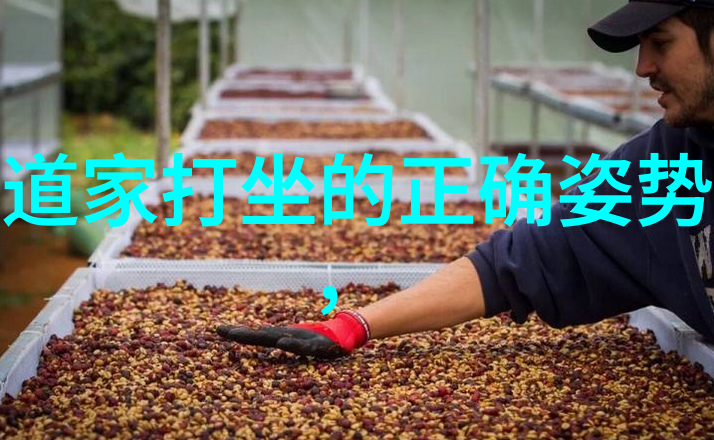 古诗简析挖掘韵味与意境