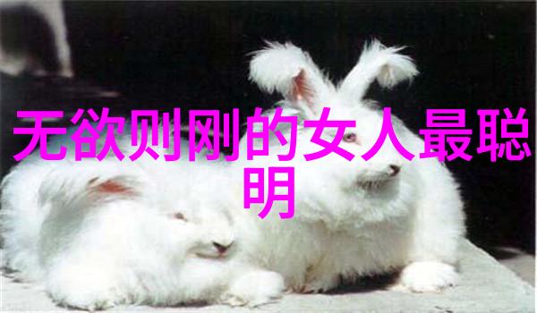 探寻易经之谜一位学者的内心历程