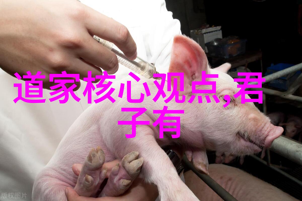 古籍与哲学探究-诸子百家探索中国哲学史上的思想大师