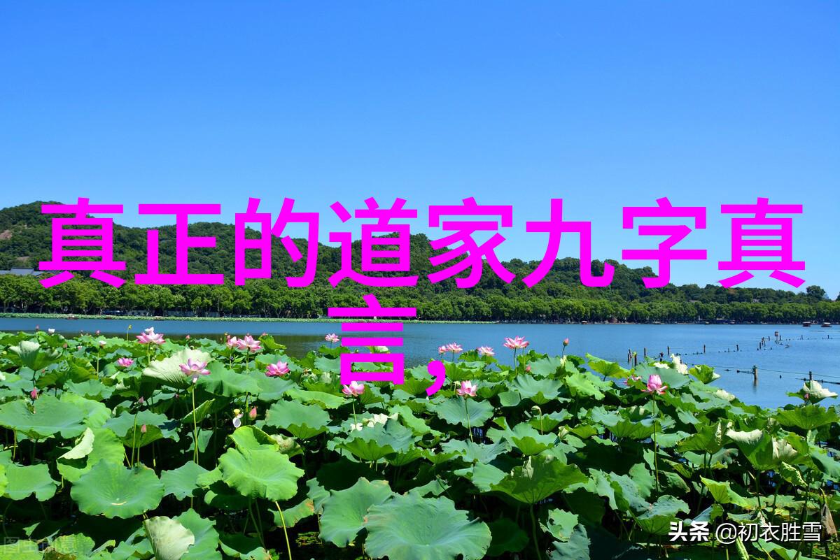 道法精髓如何修炼成为一名合格的道士