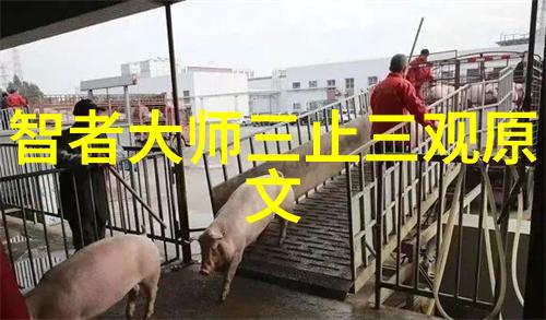 道教神秘的起源与隐世的传承