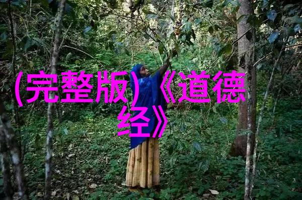 追求内心平静达到精神世界的顶点深入理解无为