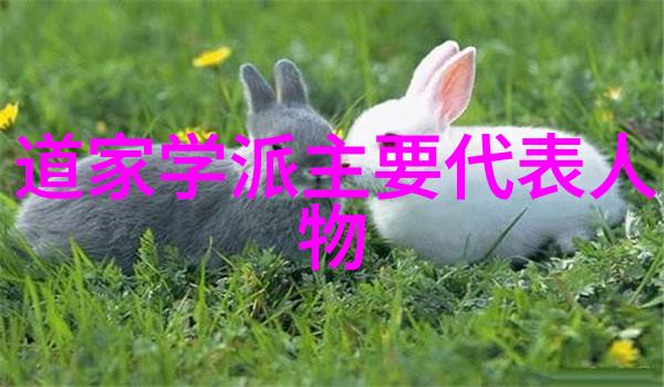 探索道教四大名山揭秘天师府泰山华盖山与青龙山的神秘魅力