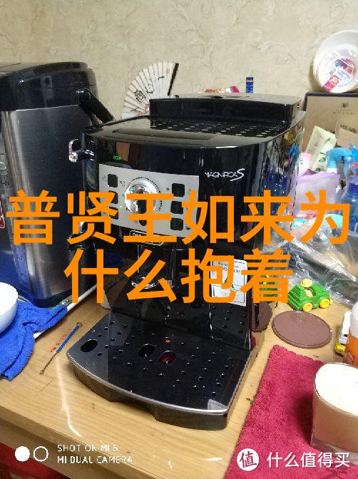 佛祖的化身慈悲与智慧的双重奏鸣