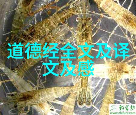 闲云我行将止随风轻飘我的告别之旅