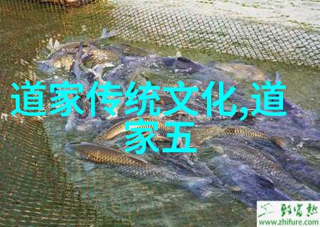 岁月静好时光清浅处的怀旧与感悟
