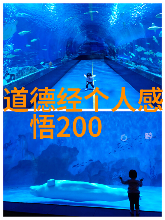 道教renaissance当今道家代表人物的探索与启示