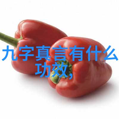 道家的核心理念是如何影响中国传统文化的