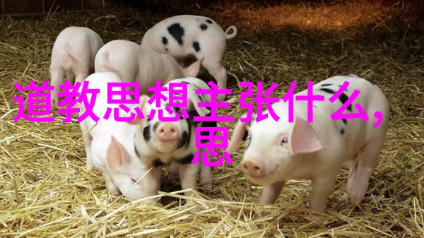 道家三大代表人物中的胡诚林道长中国道教协会副会长陕西省道教协会会长