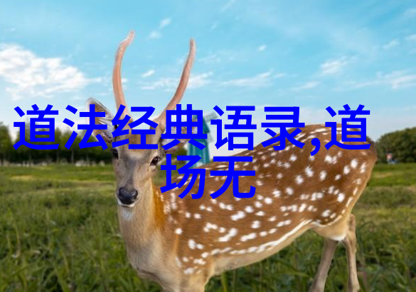 平凡而非凡一位普通但坚定的人生的故事
