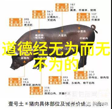 道德经中的智慧与争议探索骂人的句子的深层含义