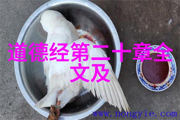 抱朴守拙的哲学之谜如何在现代生活中实践