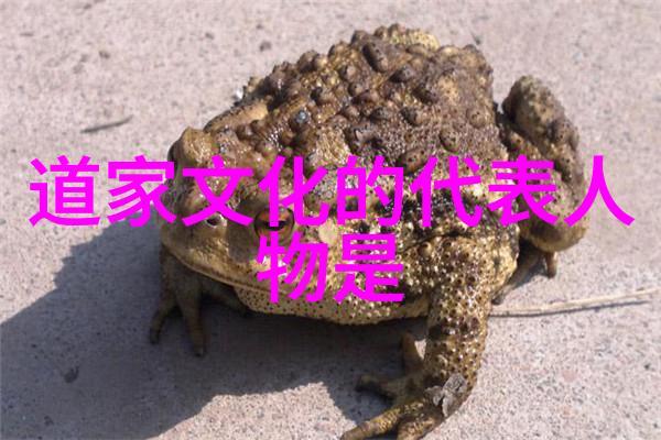 道法自然老子的道德经智慧探究