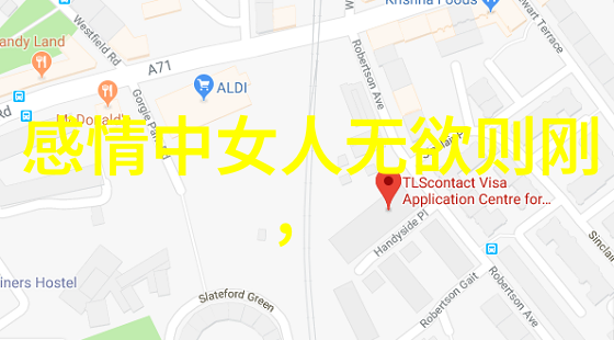 黄庭英素问作者与医药学有深远联系的道家思想家