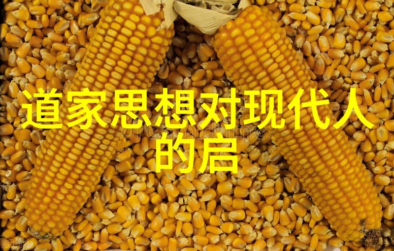 小手书写大爱校园硬笔书法展现国之情感