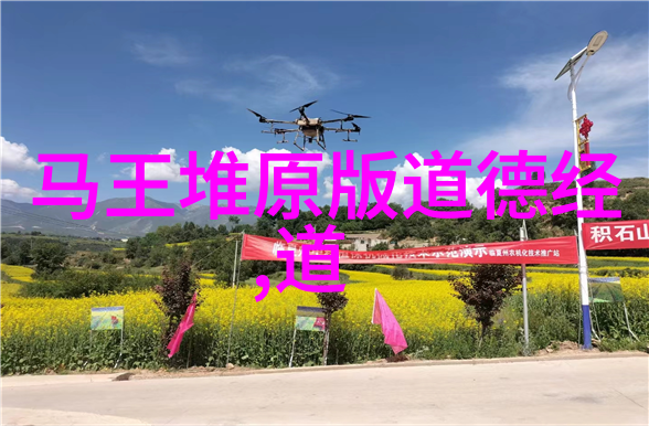 承植斋曾老师诗教