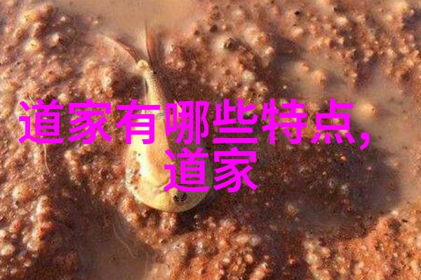 四书五经系统学习中国古代儒家经典的深度解读