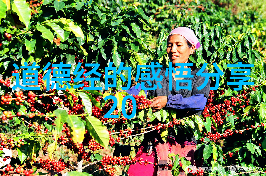 斗罗之酒神全书总结穿越者与酒精的奇幻旅程