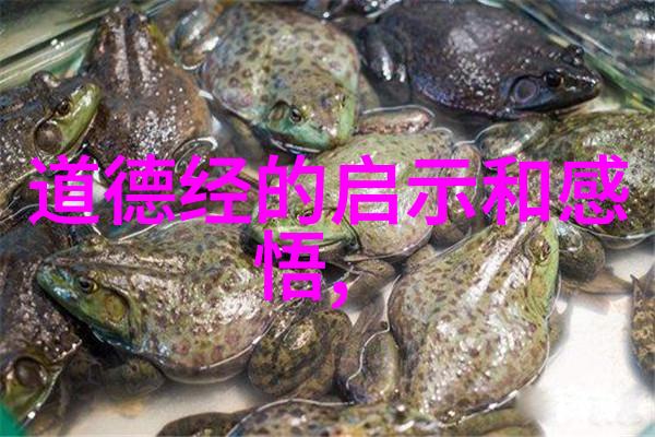 无为而有为古代智者对未来世界的预言