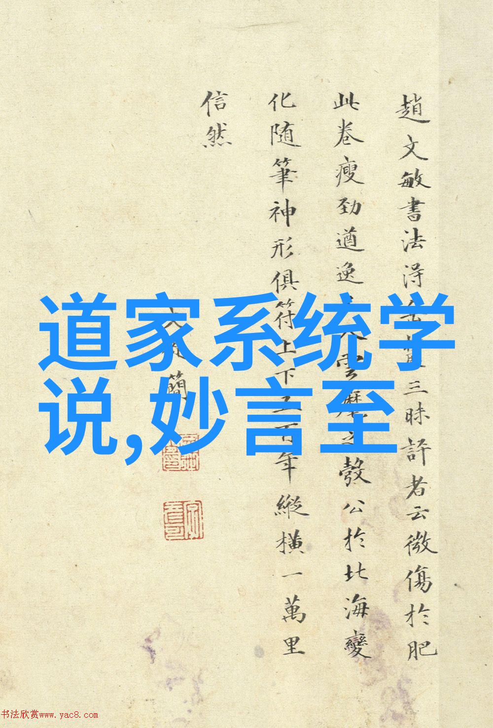 探索女性化缘背后的文化意义与心理深层