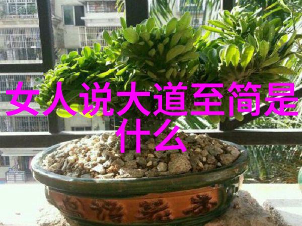 道德经里的名言智慧的源泉