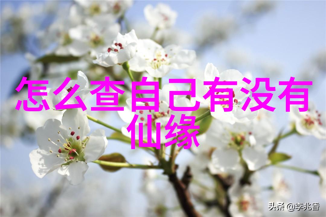 道教法师的修炼之旅道教修行的精髓