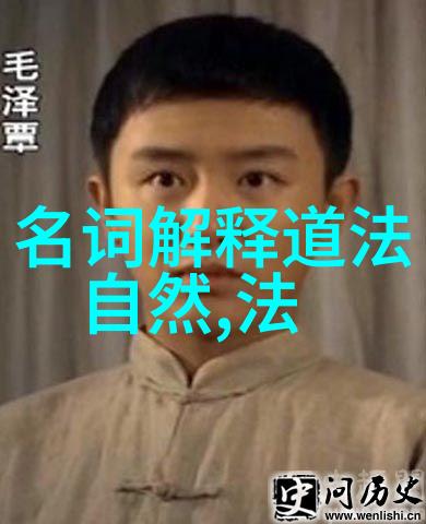 理想国与现实世界道德经对政治思考的启示