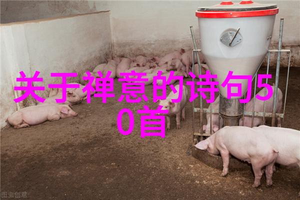无为而治应无所住而生其心实现无不为的生活艺术
