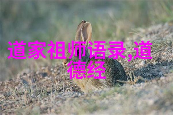 从内而外塑造自我如何将无欲则刚实践于生活中