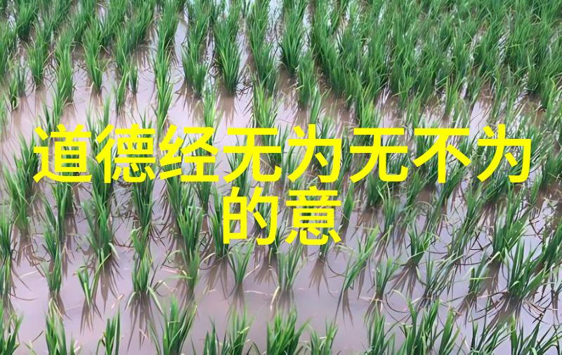 三十种B我是如何在生活中找到属于自己的B模式的