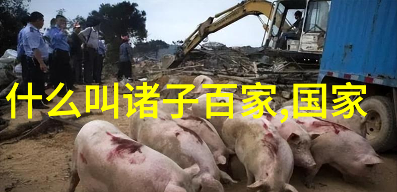 道家名句我行我素探索道家的生活智慧