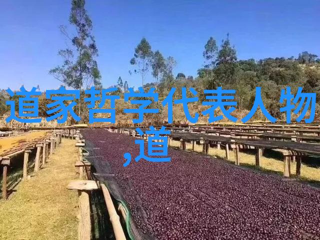 数据驱动大道至简解析