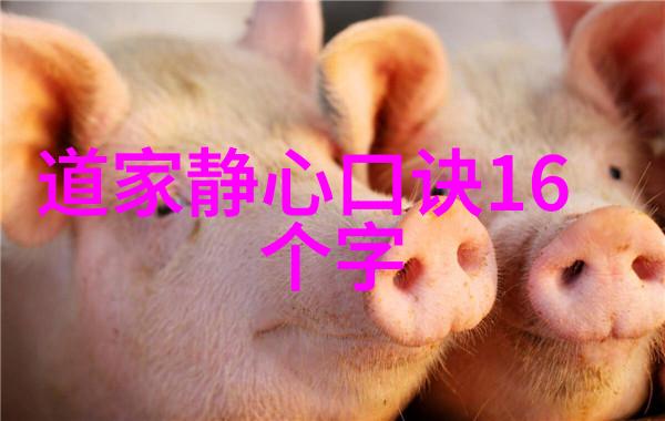 学会在逆境中做个无所事事的人生赢家