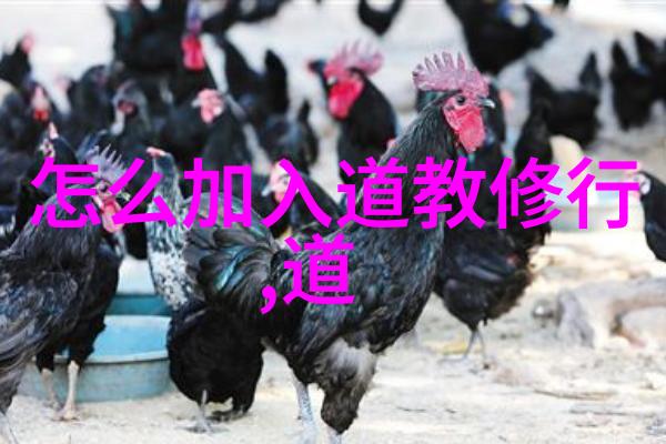 老子无为而无不为的哲学深度解读道家智慧中的自然和谐