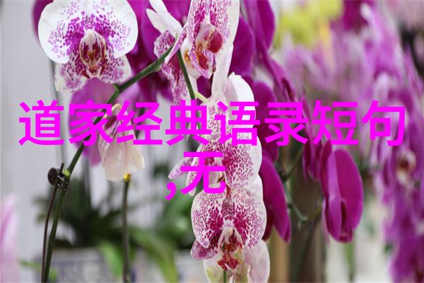 学会放手享受无为带来的自由