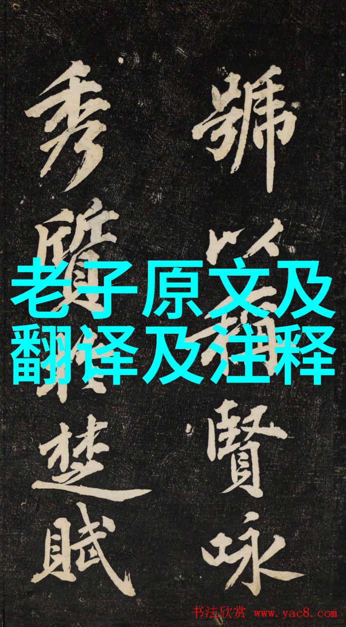 探索心怀天下之忧的哲学深度