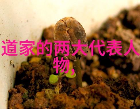 客家情结最难割舍的农村老屋记忆在自然中寻找四合院的诗意瞬间