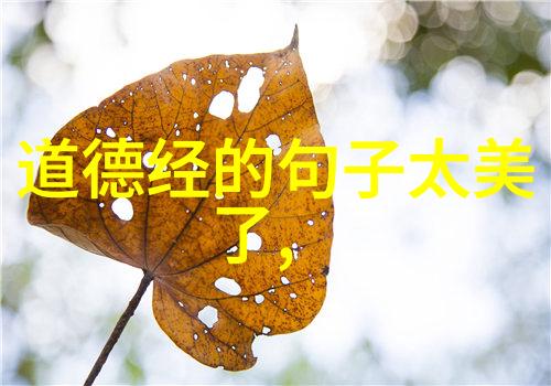 君子无为而不为智慧与行动的哲学探究