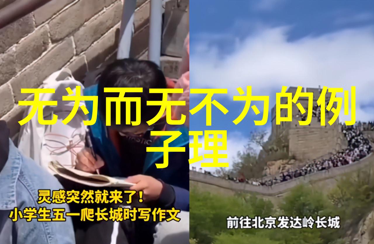 道家和儒家的根本区别天人合一与仁义礼智信的对比探究