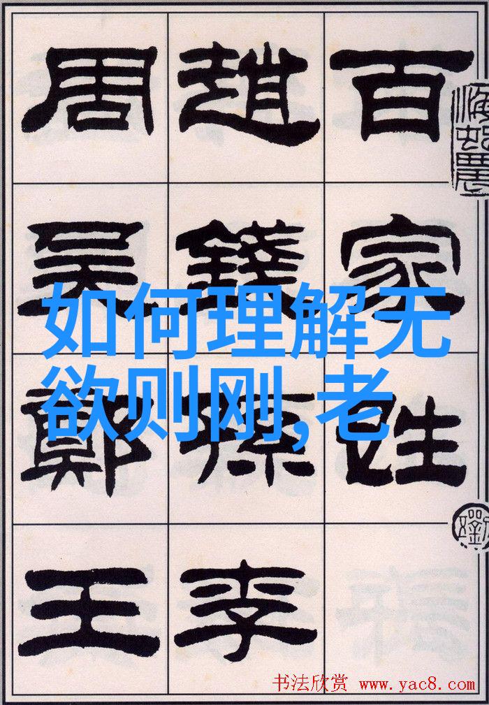 道德经之谜国家推广隐秘的原因探究