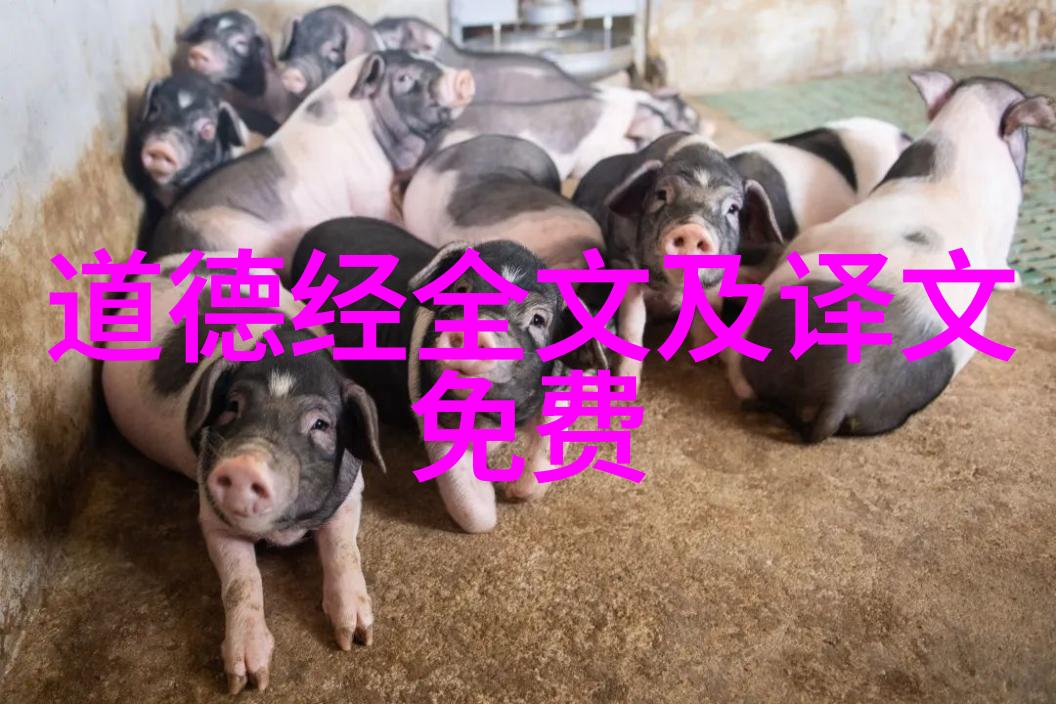 道法自然小说深度探究自然界与人文哲学的融合