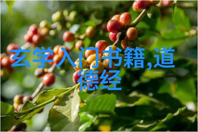 老子道德经全文及译文电子版-探索道德经智慧数字时代的古籍阅读新篇章