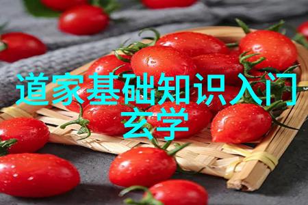 解读中国古代哲学中的导师角色他们是如何成为代表的人物