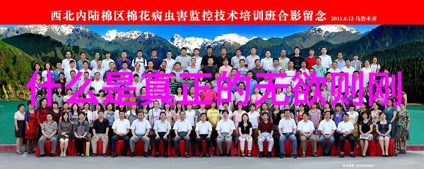道家代表人物研究探索道教哲学与生活实践的内在联系