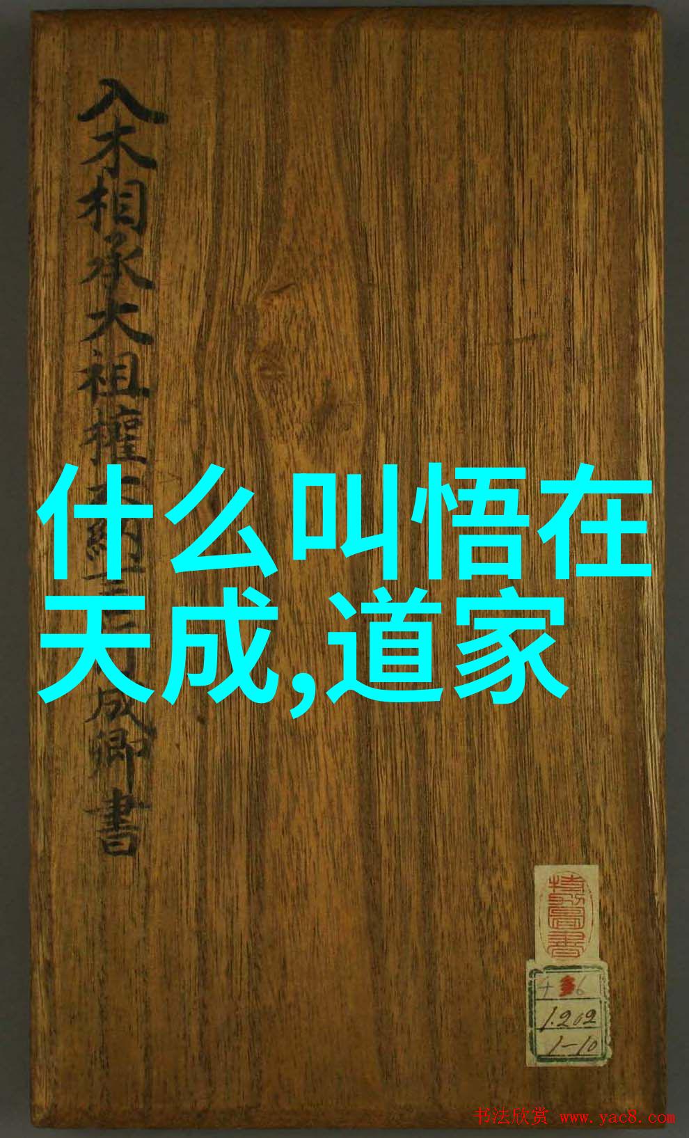 揭露真相塑造英雄侦探小说中的道德探讨