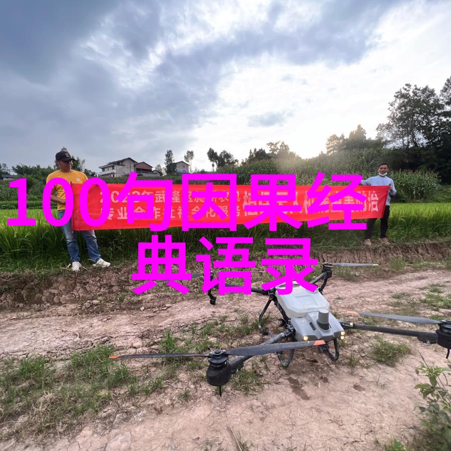 宇宙与人生道家三大代表人物对自然界的看法
